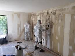 Why You Should Choose Our Mold Remediation Services in North Brooksville, FL